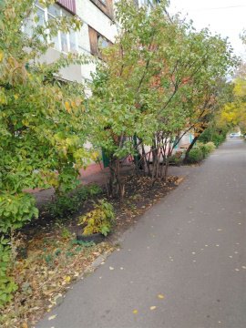 1-к квартира, 5/5 эт., 29м²