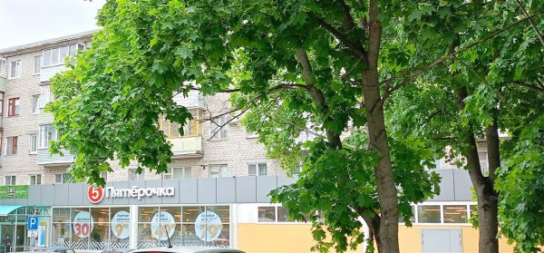 1-к квартира, 4/5 эт., 30м²
