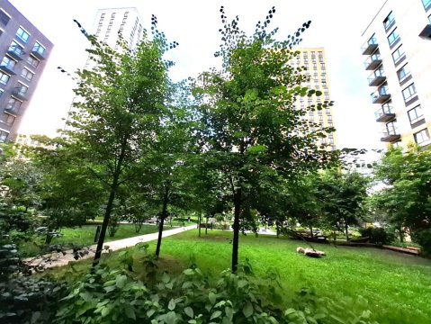 Студия, 8/10 эт., 19м²