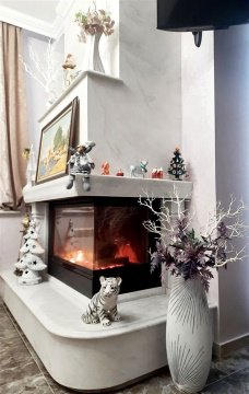 Дом 365м², участок 17 сот.