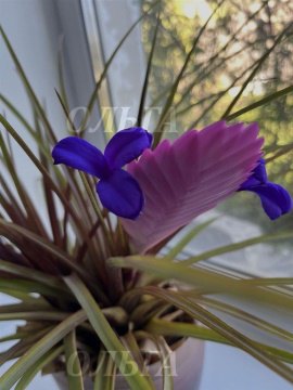 3-к квартира, 1/1 эт., 61м²