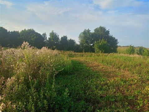 Дом 50м², участок 17 сот.