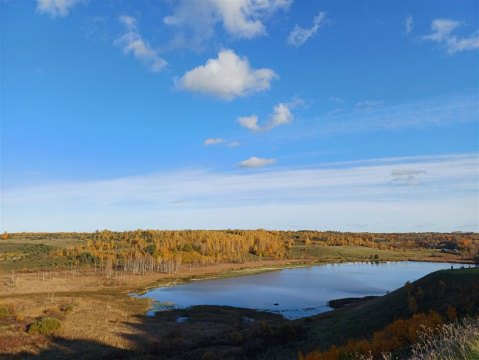 Дом 35м², участок 25 сот.