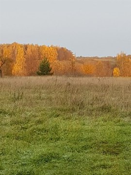 Дом 35м², участок 25 сот.