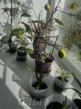 3-к квартира, 1/1 эт., 61м²