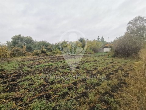 Дом 66м², участок 33 сот.
