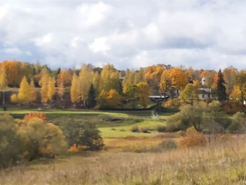 Дом 35м², участок 25 сот.